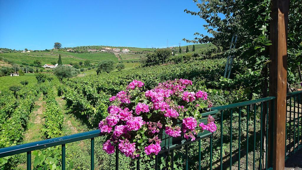 Douro Valley - Casa Vale Do Douro Lamego Exterior foto
